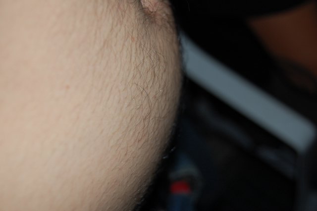 DSC_0548.JPG