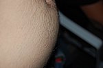 DSC_0548.JPG