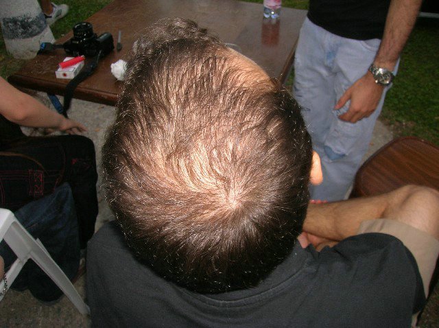 dz34.jpg