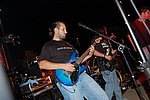 DSC_0529.JPG